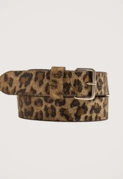 Aile Riem