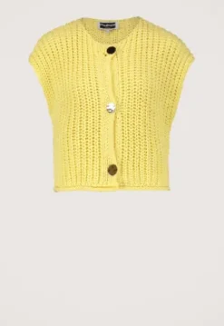 Mentha Vest
