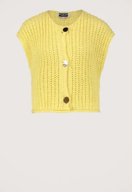 Mentha Vest
