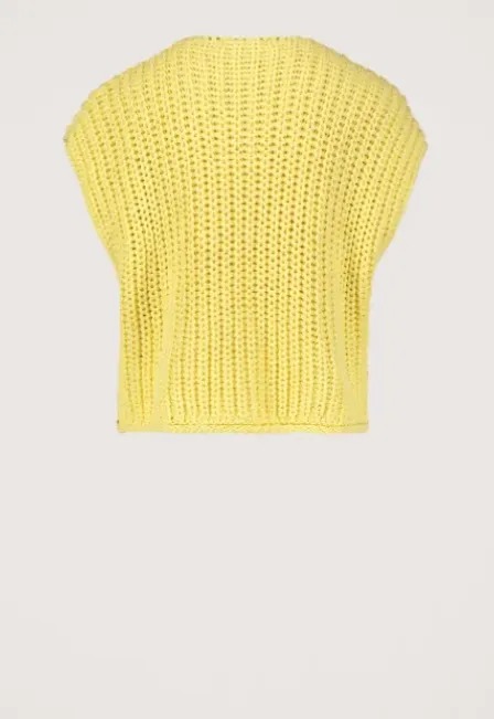 Mentha Vest