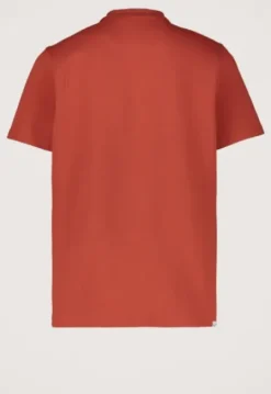 Molo Polo