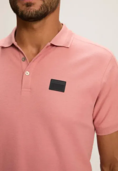 Pai Polo