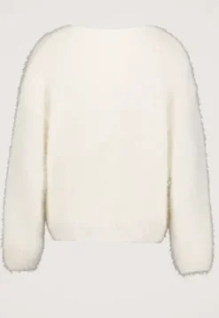 Parvi Trui