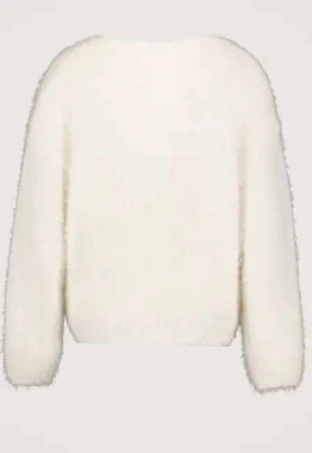 Parvi Trui
