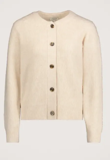 Phine vest